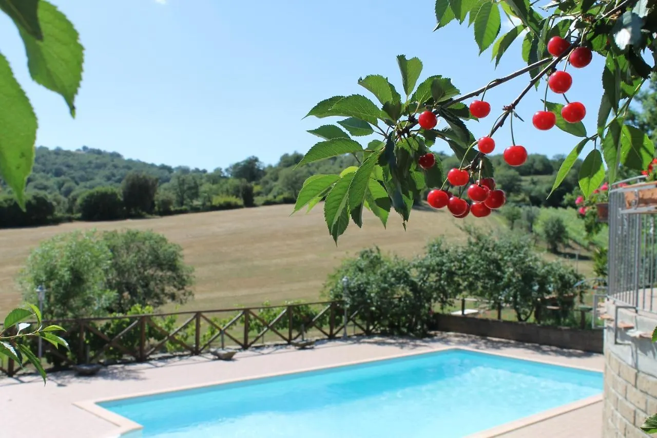 Macchiapiana Villa Scansano 0*,  Italien